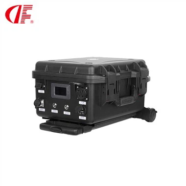 DF-1000W DC voltage 12V 24V 1000W online or offline emergency UPS outdoor power supply for export to Europe and USA