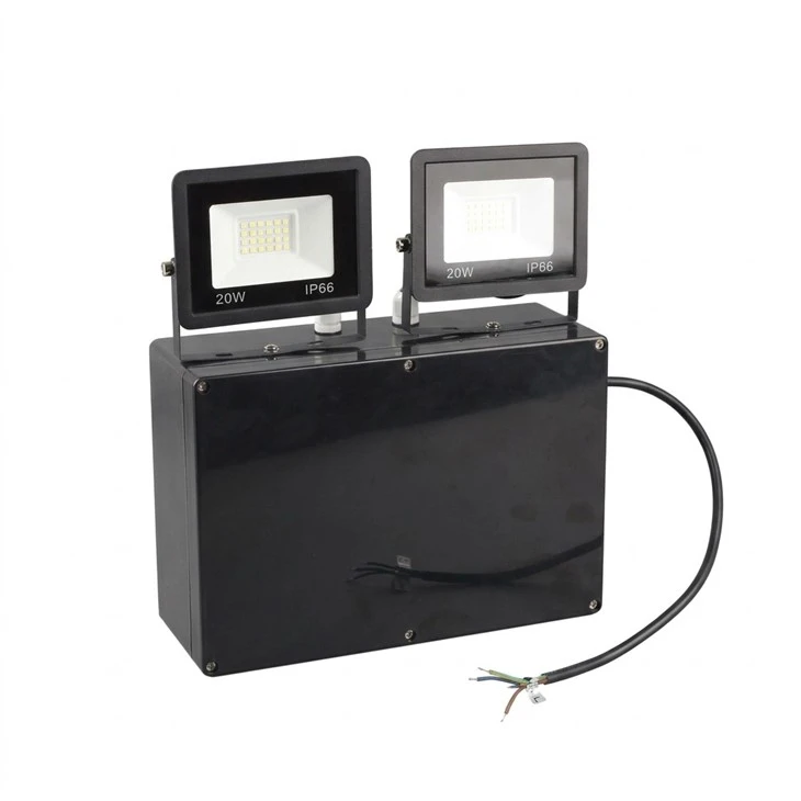 2X20W LED Emergency Light  (10)