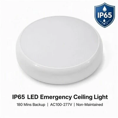 LED Emergency Ceiling Light IP65 Battery Backup 3W AC90-280V
